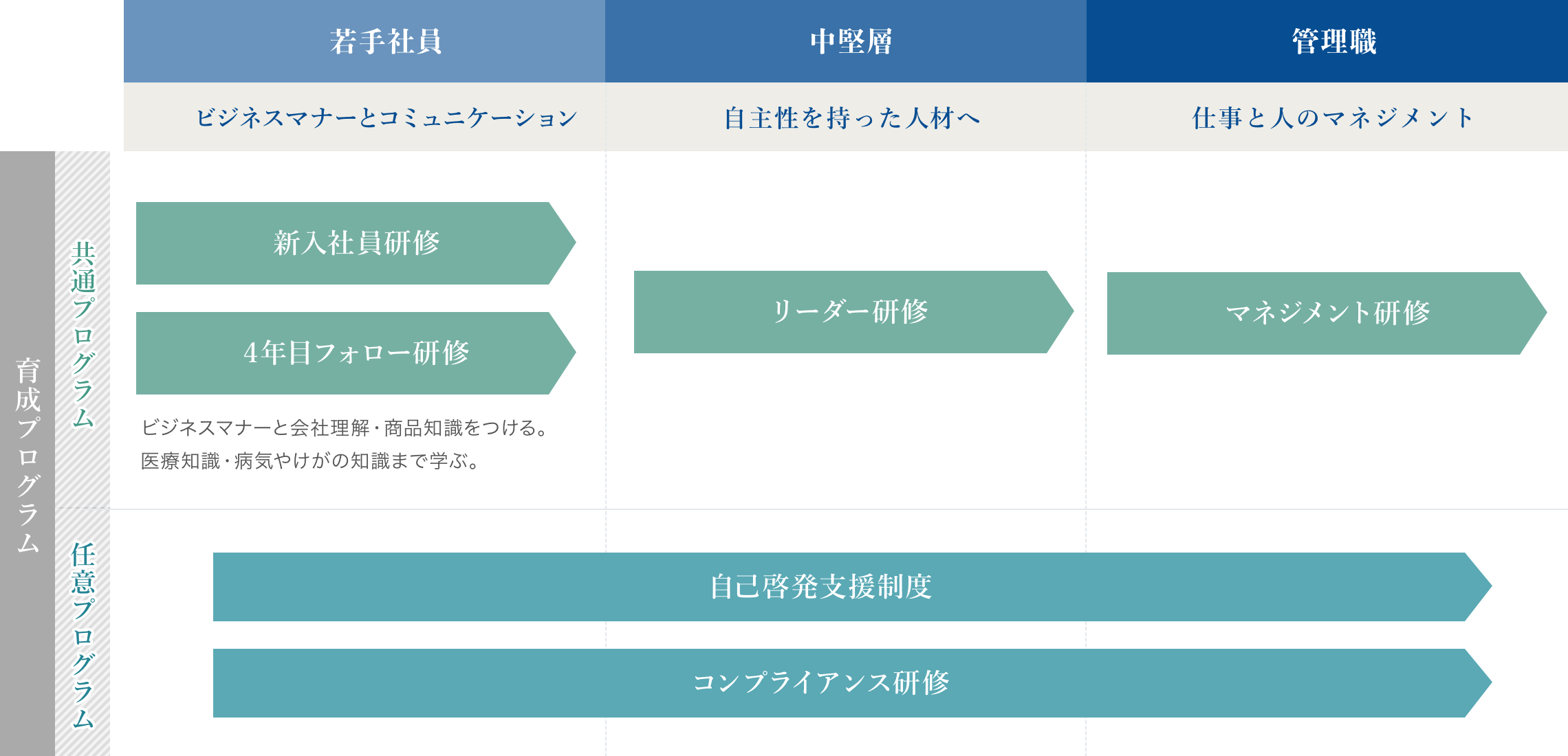 研修制度・育成プログラム